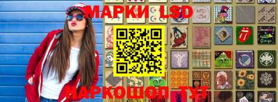 гидра Брянск