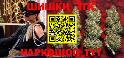гидра Брянск