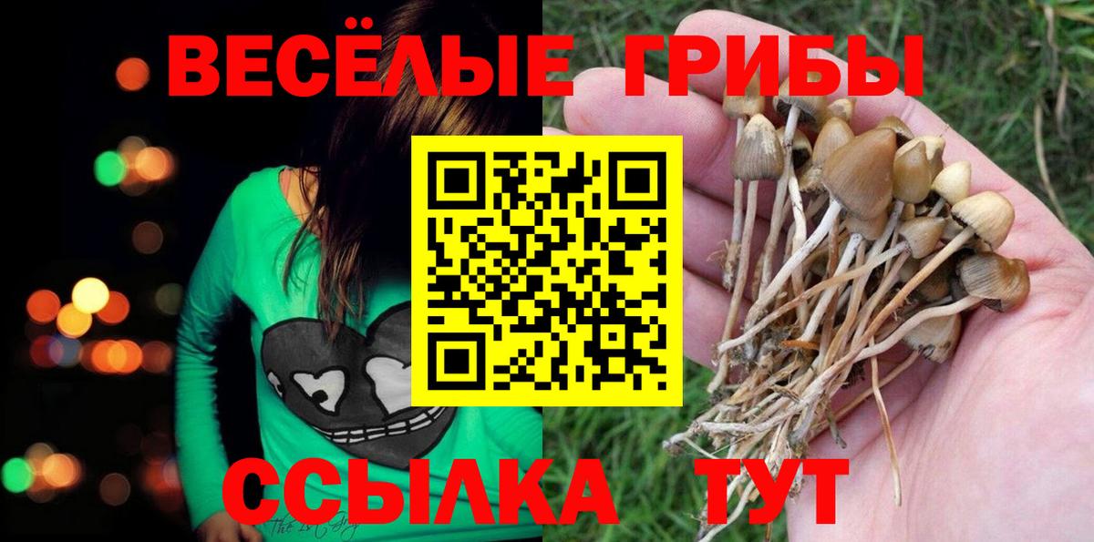 Псилоцибиновые грибы прущие грибы Гагарин