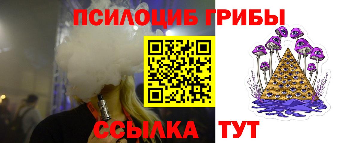 Гагарин  Галлюциногенные грибы мицелий  Псилоцибиновые грибы прущие грибы  закладки  Вход с VPN 